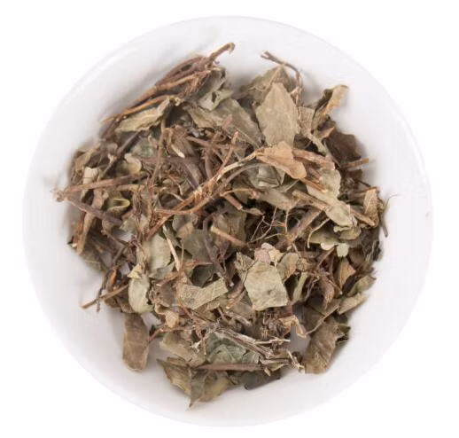 Chang Chun Teng Herbe biologique 100 % naturelle Hedera Helix lierre chinois