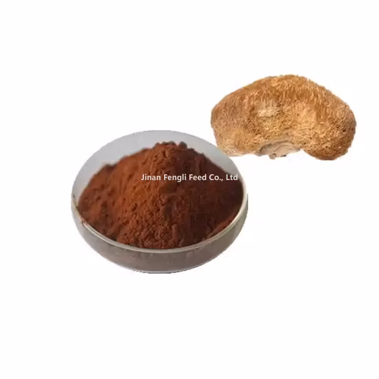 Additif alimentaire en poudre rose clair de jus d'acérola d'extrait de fruit de cerise pur naturel 100% organique
