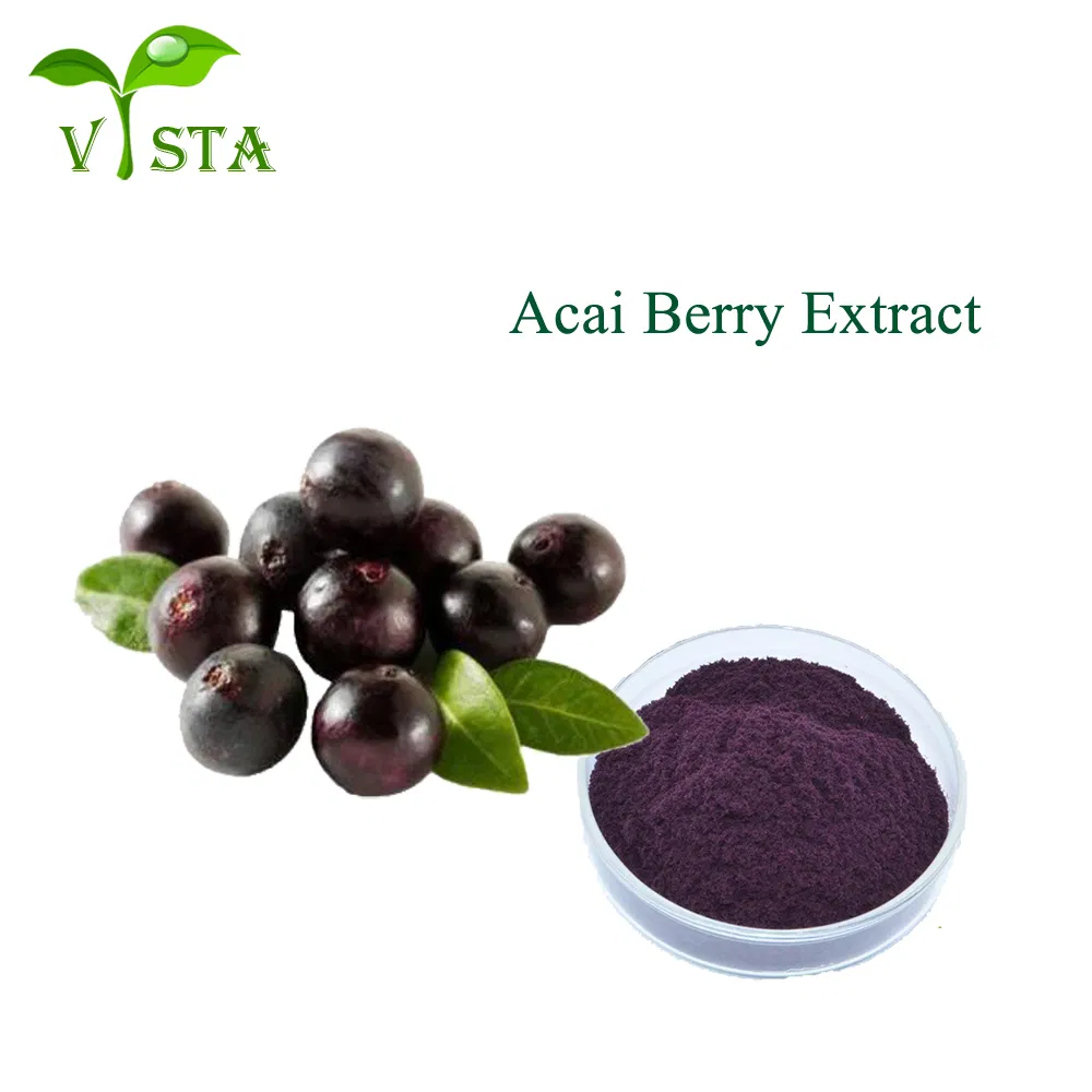 Poudre d'extrait de baie d'açai en poudre naturelle pure à 100 %