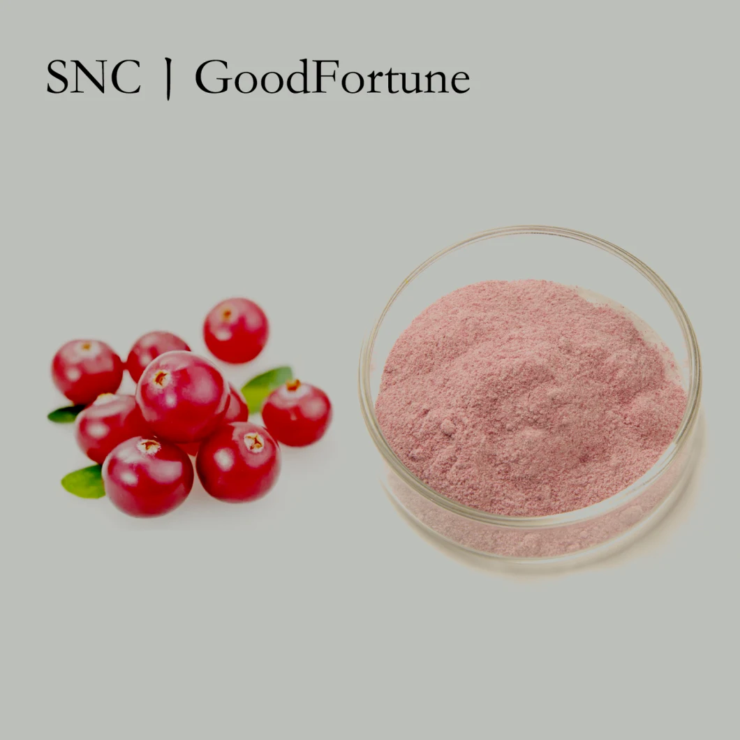 Fast Delivery Food Additives Herbal Extract Cranberry Juice Powder