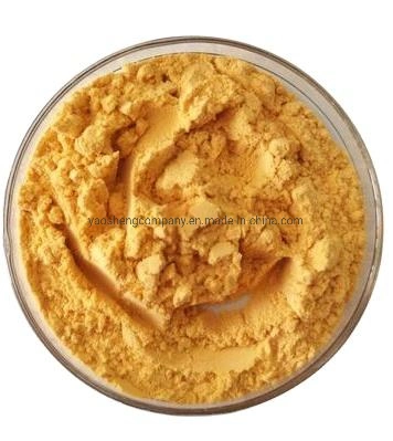 High Quality Sea Buckthorn Fruit Powder Organic Sea Buckthorne Extract