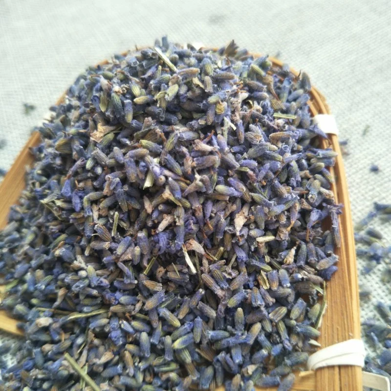 Xun Yi Cao Wholesale Organic Natural dry lavender buds Dried Flowers Lavender herb Tea