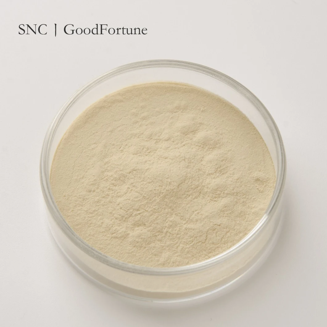 High Quality CAS. 9000-71-9 Powder Acid Casein 90% Plant Protein