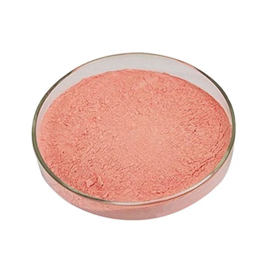 Poudre de cerise acérola naturelle pure biologique 25% poudre de fruits de cerise acérola Vc