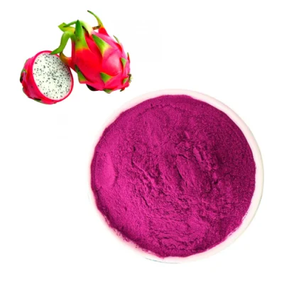 Fabricant de prix compétitif lyophiliser organique Pitaya/poudre de fruit du dragon rouge pour la crème glacée