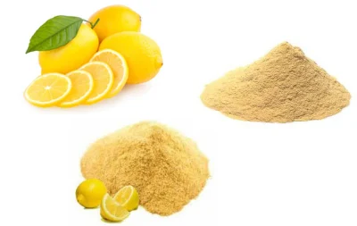 Poudre de fruit de citron pur lyophilisé biologique Poudre de citron lyophilisée avec casher