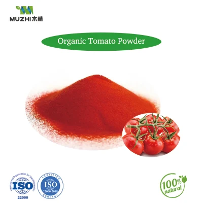 Fabricant de poudre de légumes Poudre de tomate biologique en gros avec le meilleur prix